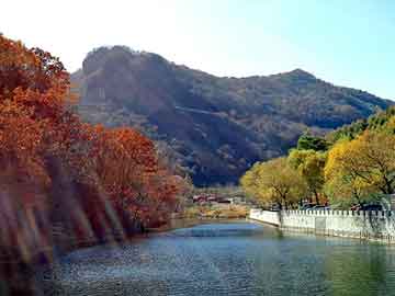 新澳天天开奖资料大全旅游团，上海车友会